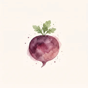 Maca Root
